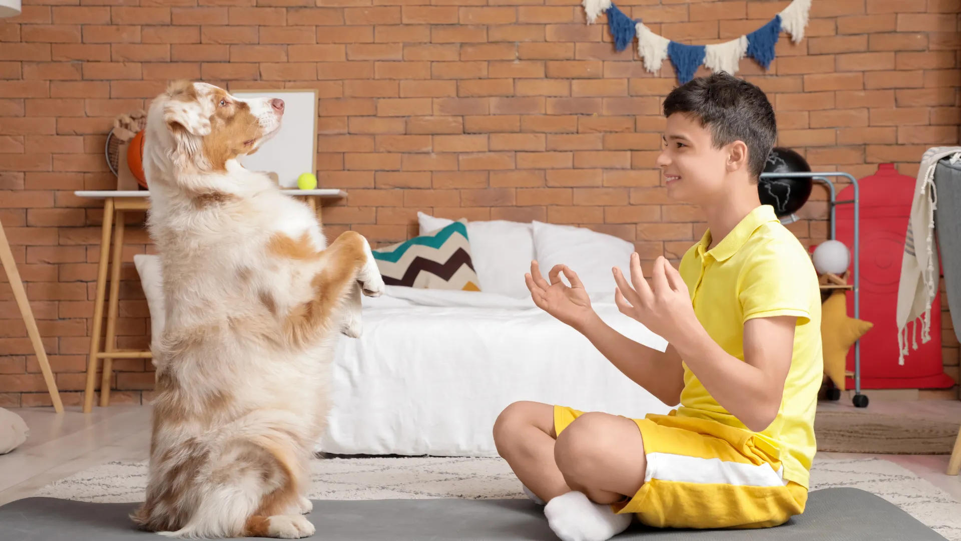 Australian Shepherd sitting with family showing loyal companion behavior