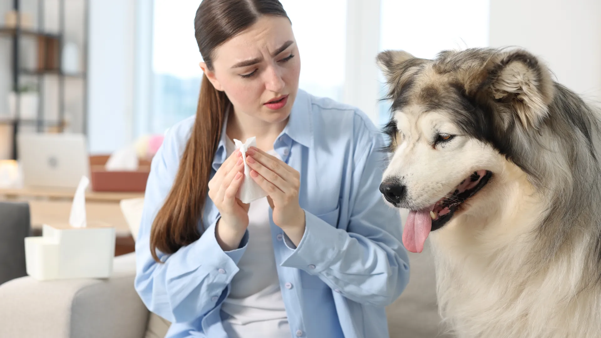 Dog dander particles with Can f 1 protein that trigger allergies