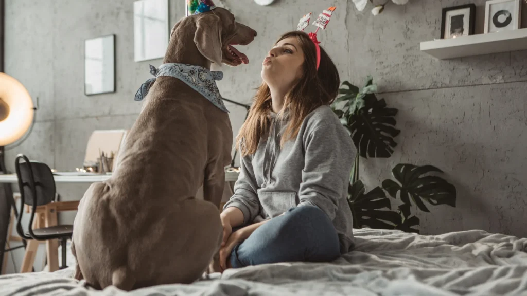 Dog Years to Human Years