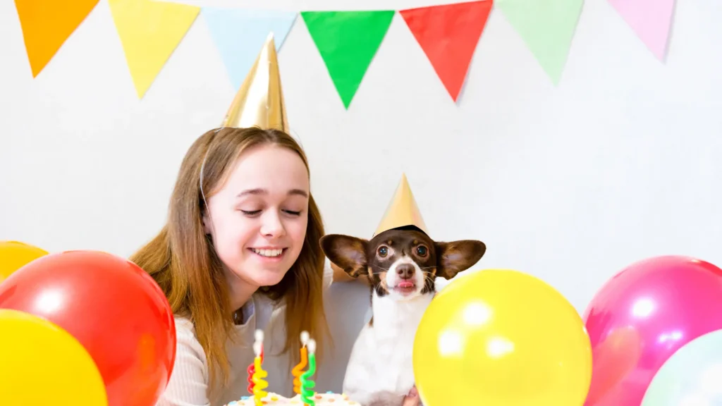 3 Years in Dog Years