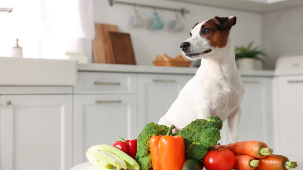 Best healthy dog diet plan chart showing protein fats carbohydrates and vitamins for dogs