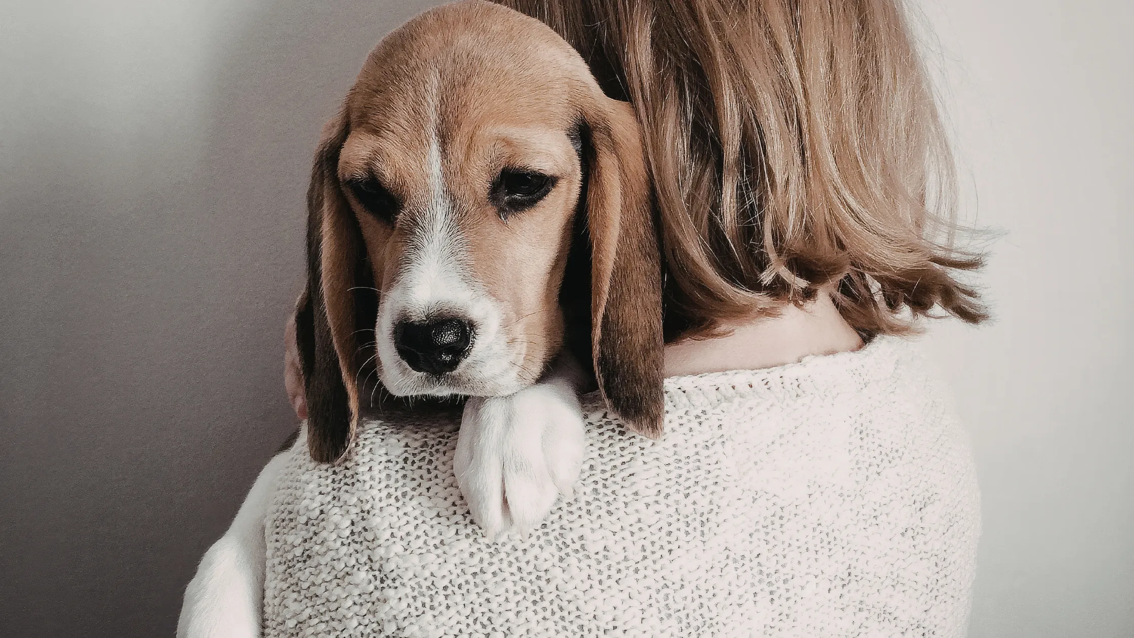 Dog Years to Human Years